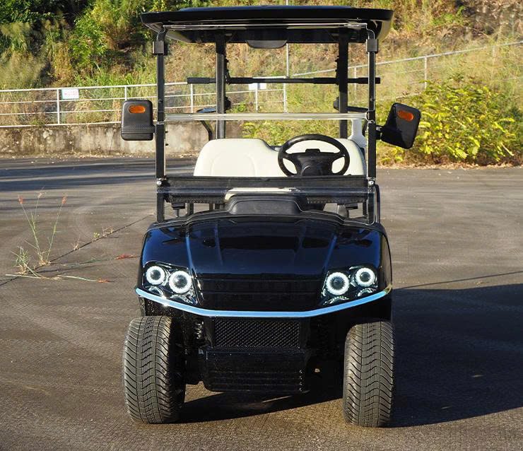 Xe điện sân golf 2 chỗ A-C2