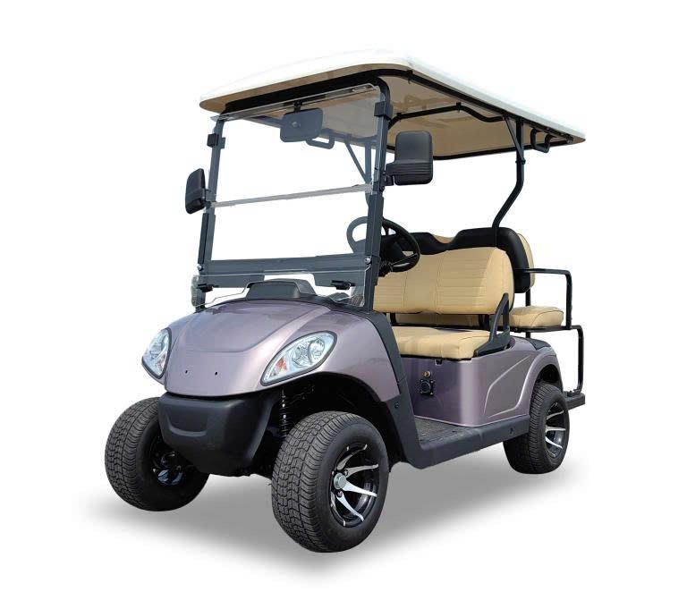 Xe điện sân golf 4 chỗ A-C2+2