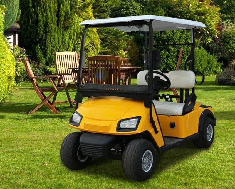 Xe điện sân golf 2 chỗ GD-L2