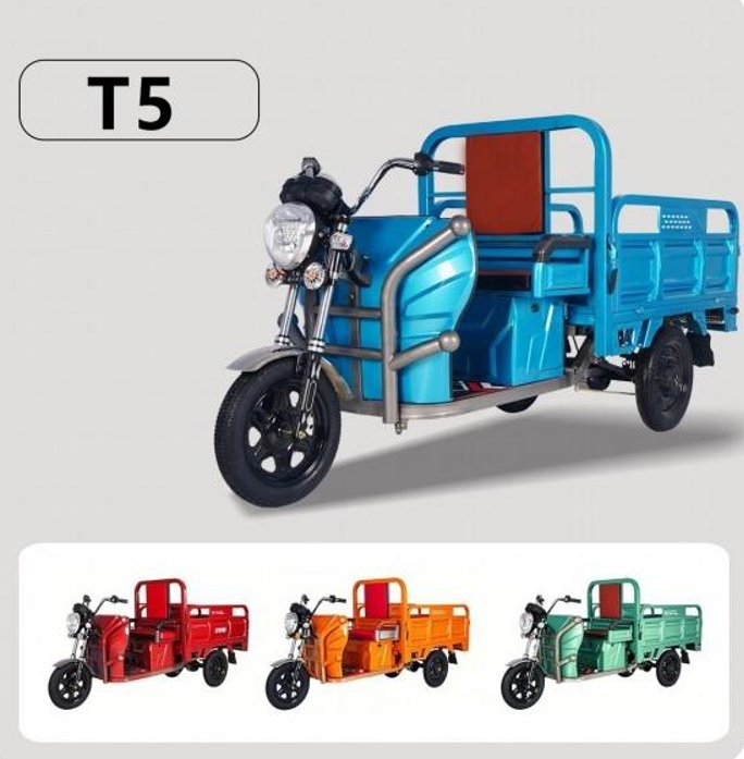 Xe điện chở hàng T5