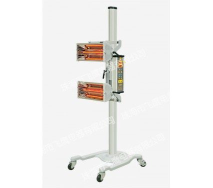 Đèn sấy sơn 2 bóng FY-2HX