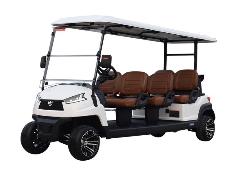 Xe golf đa dụng 6 chỗ ngồi R6